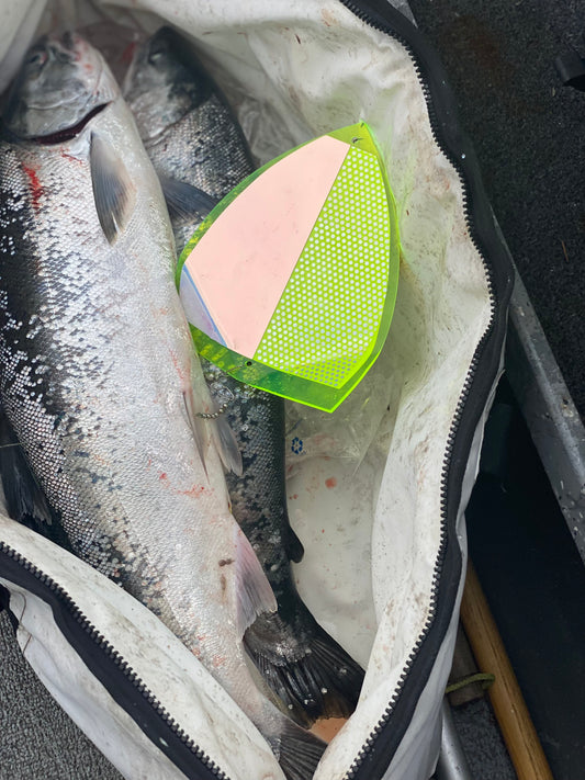 DVT Fat Bastard Flashers